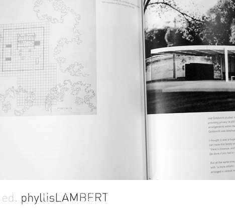 mies in america mies in america
