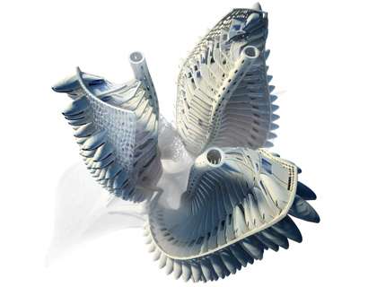 chimera b