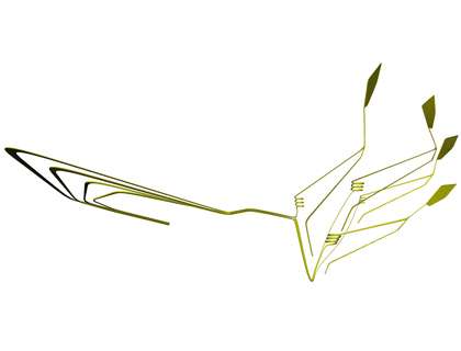 flower c