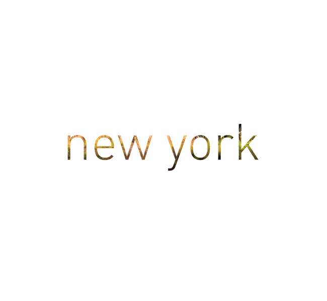 new york new york