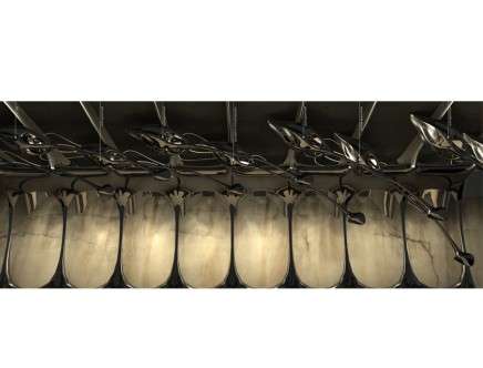ruminant quarantine d