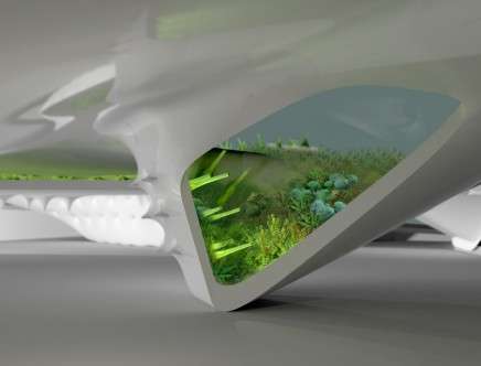 hydrophile a