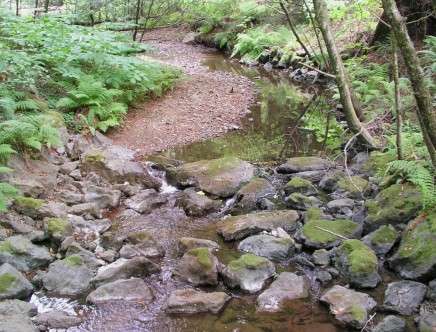 spiral_river_inspiration_photo_by_inajeep