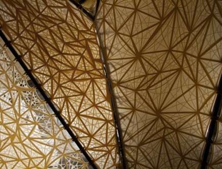 010_BL_mesh