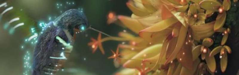 A New Species Is Born