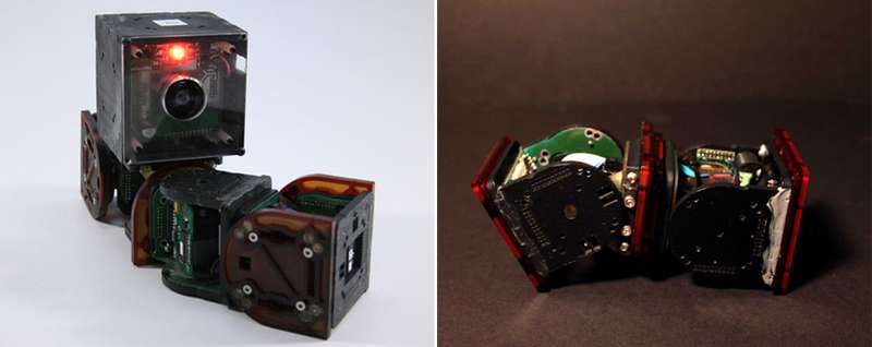 Modular Robot