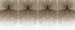 1_FRONT_small