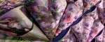 Seika_07_FRONT_small
