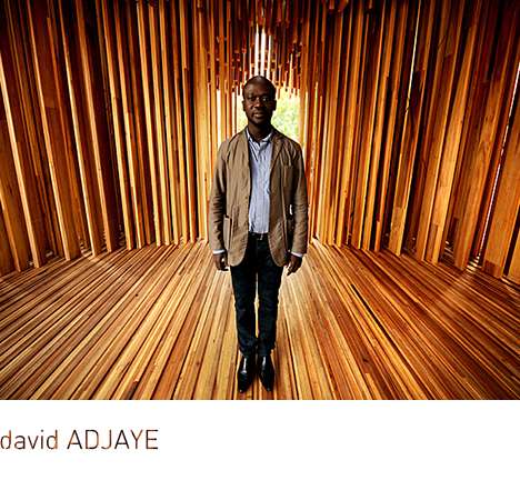 david ADJAYE david ADJAYE