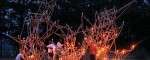 Candelabrum 01_small