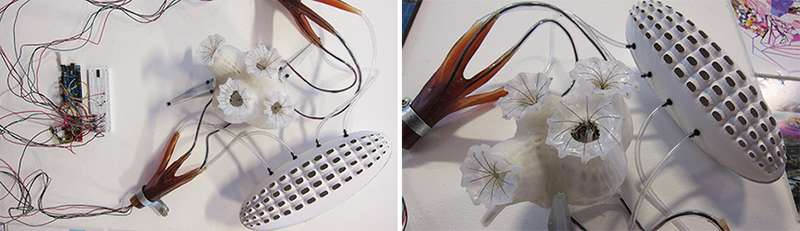 LESEC & MARTIN, Transient Threshold. Silicone model of condensation-capturing and water-storage vessels.