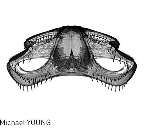 Michael YOUNG Michael YOUNG