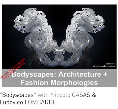 Bodyscapes Bodyscapes