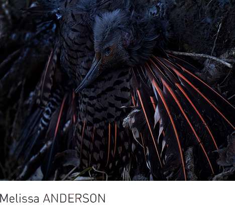Melissa ANDERSON, Water Contamination. Melissa ANDERSON, Water Contamination