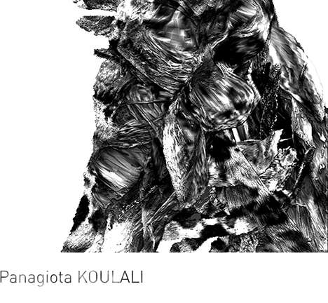 Panagiota KOULALI, Autopoiesis. Panagiota KOULALI, Autopoiesis.
