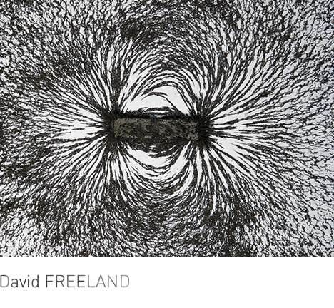 David FREELAND, Fielded Drawing. Magnetic field. Photo courtesy the author. David FREELAND, Fielded Drawing. Magnetic field. Photo courtesy the author.