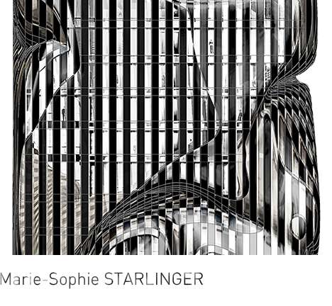 Marie-Sophie STARLINGER, "Naked." Elevation, detail. Marie-Sophie STARLINGER, "Naked." Elevation, detail.