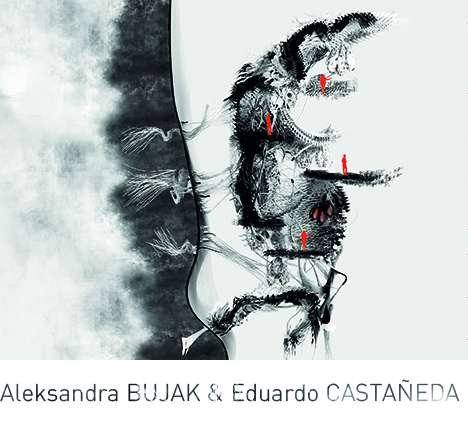 Aleksandra BUJAK & Eduardo CASTAÑEDA, "Cleithrophobia House." Section. Aleksandra BUJAK & Eduardo CASTAÑEDA, "Cleithrophobia House." Section.