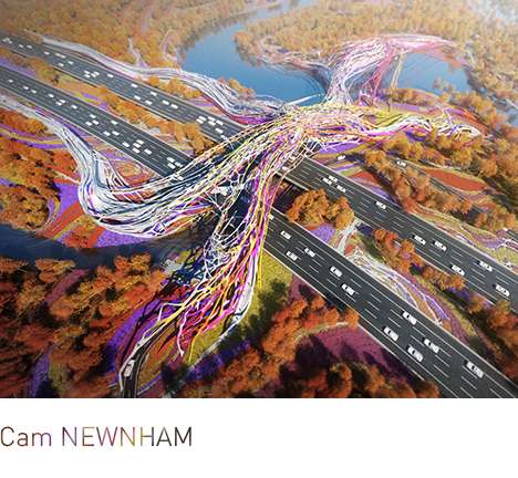 Cam NEWNHAM, "Fibrosity." Bird's-eye perspective. Cam NEWNHAM, "Fibrosity." Bird's-eye perspective.