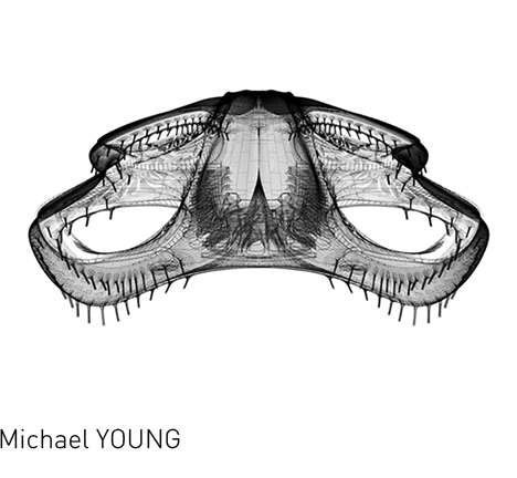 Michael YOUNG. Michael YOUNG.