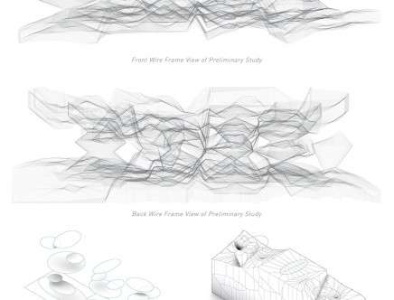 Royce PEREZ & Yufeng ZHENG, "Medial Surface Detailing."