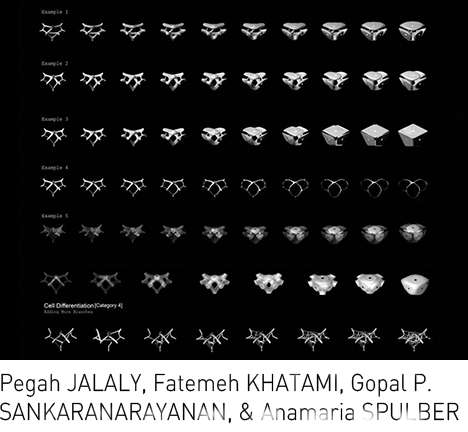 JALALY, KHATAMI, SANKARANARAYANAN, & SPULBER, "Mind the Gap." JALALY, KHATAMI, SANKARANARAYANAN, & SPULBER, "Mind the Gap."