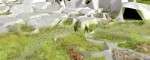 00_urbanprairie_cover_FRONT_small