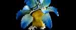 AELBWARTS_022_small
