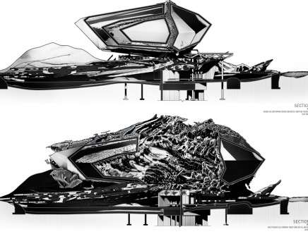 Daniel CAVEN, "Anamorphic Carcases." Sections.