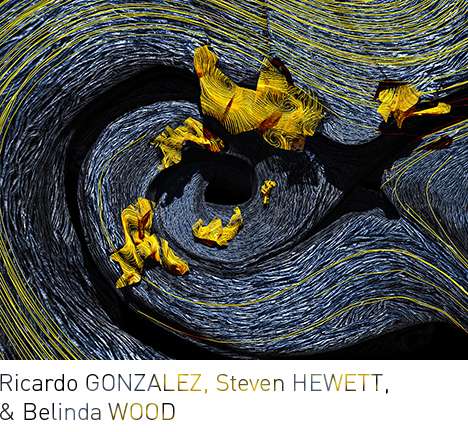Ricardo GONZALEZ, Steven HEWETT, & Belinda WOOD, "Field of Objects." Ricardo GONZALEZ, Steven HEWETT, & Belinda WOOD, "Field of Objects."