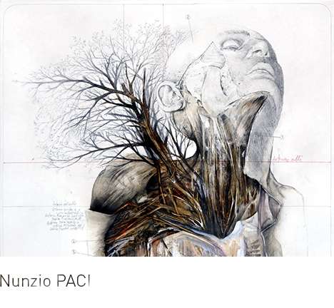 Nunzio PACI, "Root." Nunzio PACI, "Root."