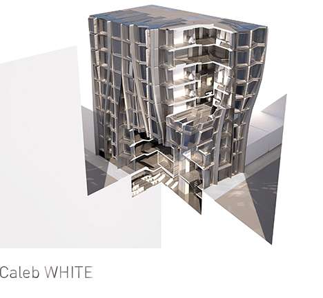 Caleb WHITE, "Shifting Hybrids." Cut-away section, rendering. Caleb WHITE, "Shifting Hybrids." Cut-away section, rendering.