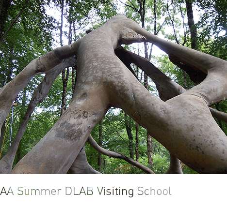 AA Summer DLAB Visiting School, "Callipod." AA Summer DLAB Visiting School, "Callipod."