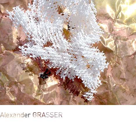 Alexander GRASSER, "Fuzzy Cloud." Birds-eye rendering. Alexander GRASSER, "Fuzzy Cloud." Birds-eye rendering.