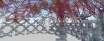cam 19 141118 01_small