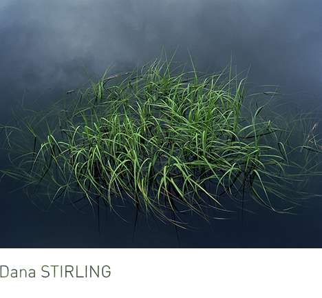 Dana STIRLING, "Float" (2013). Dana STIRLING, "Float" (2013).