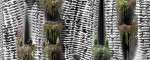 /home3/suckerp1/public html/wp content/uploads/2016/02/160223 final elevation small
