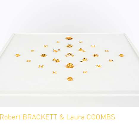 Robert BRACKETT & Laura COOMBS, "ARNICA, collection I." Robert BRACKETT & Laura COOMBS, "ARNICA, collection I."