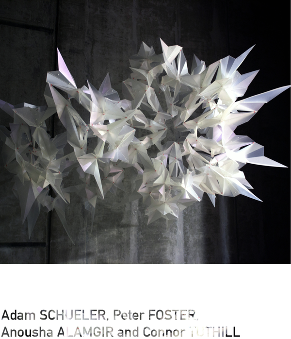 Adam SCHUELER, Peter FOSTER, Anousha ALAMGIR and Connor TUTHILL